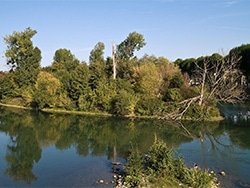 Déménagement Chelles 77500 Seine-et-Marne